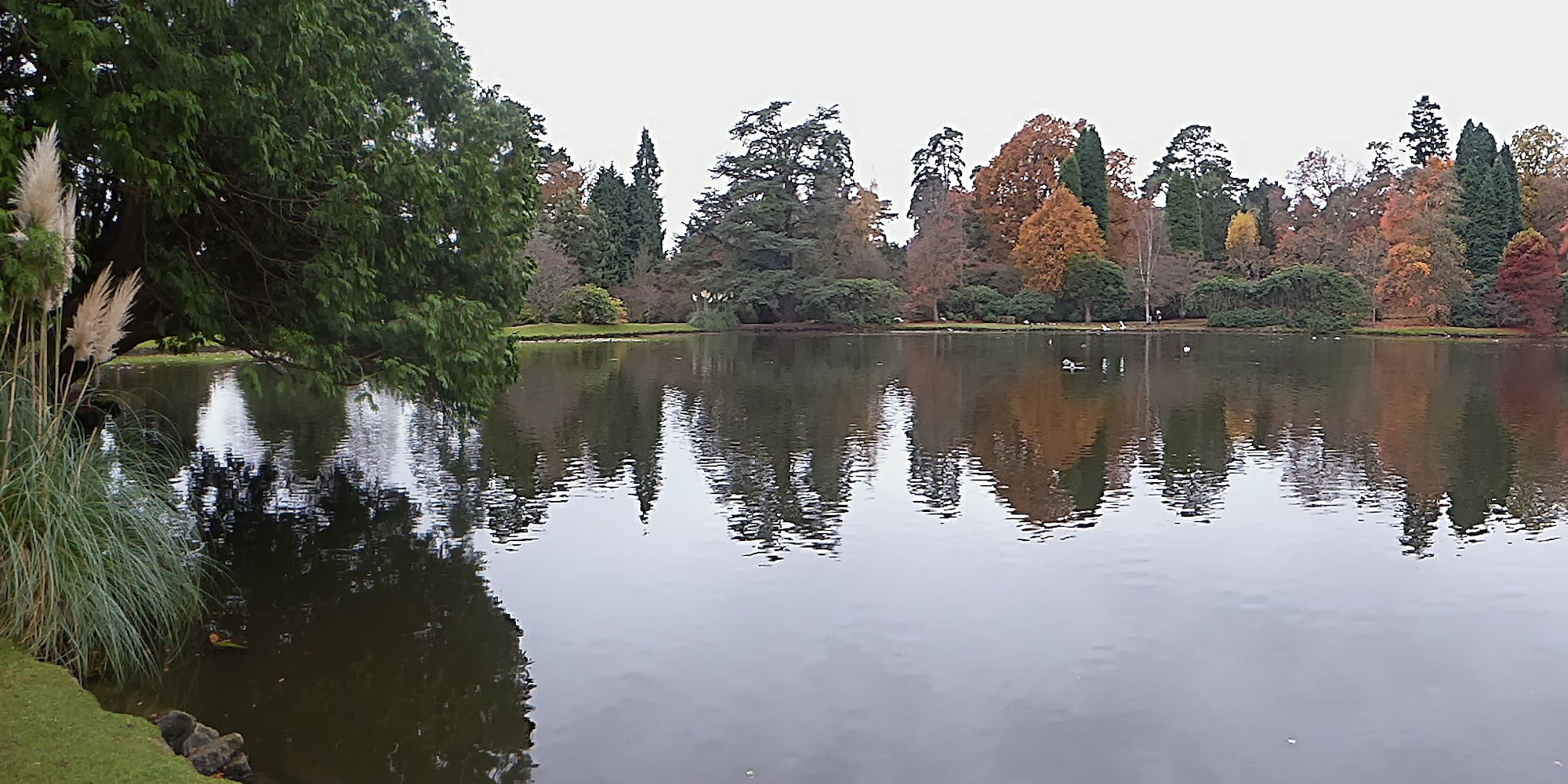 Sheffield Park lake with the trees reflecting in the water