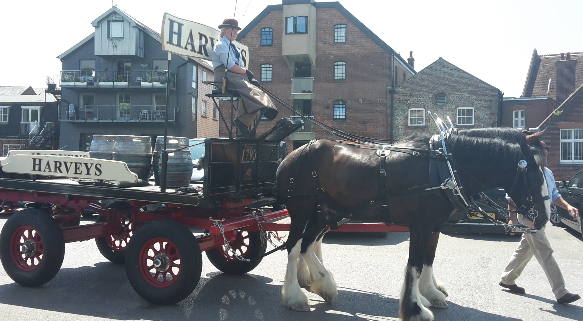 Dray horse pulling a cart, in the town of Lewes