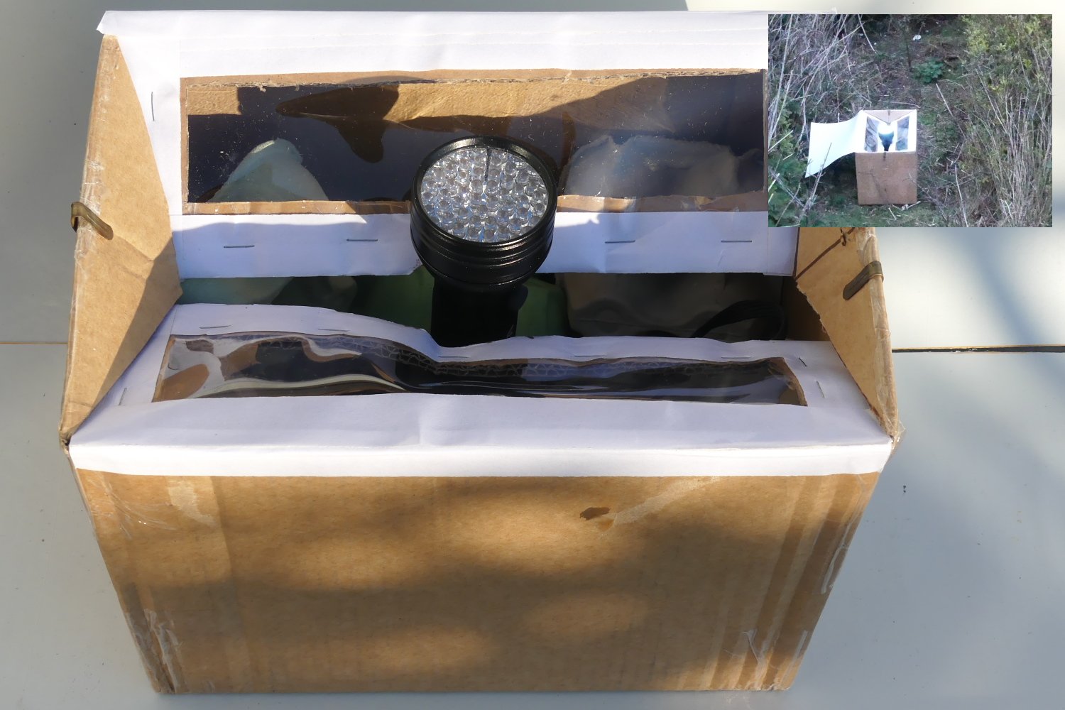 A cardboard box, the lid folded in on itself, wedging in a high-powered UV LED torch, with openings for species to enter, and clear-covered cutout areas to view from