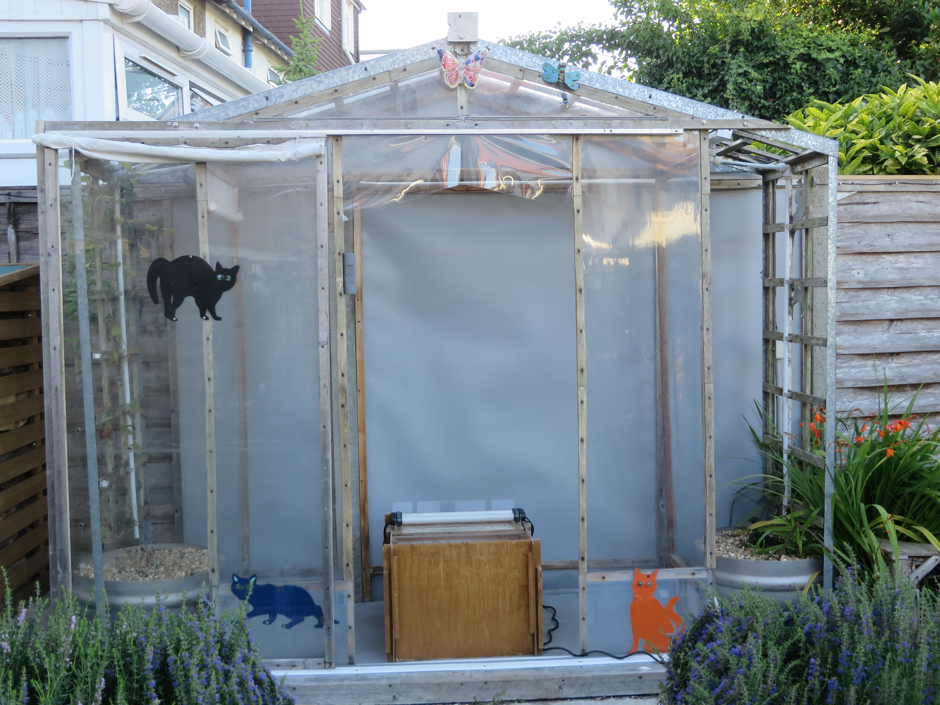 A greenhouse we converted into a moth house by remove the side and roof panels and strenghtening with treillis