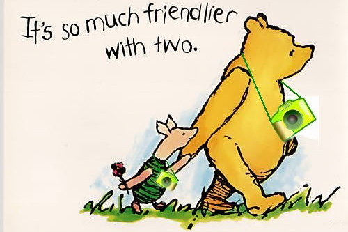 Classic Winnie the Pooh holding hands with Piglet, the words "It's so much friendler with two" above them. Cameras have been edited around their necks
