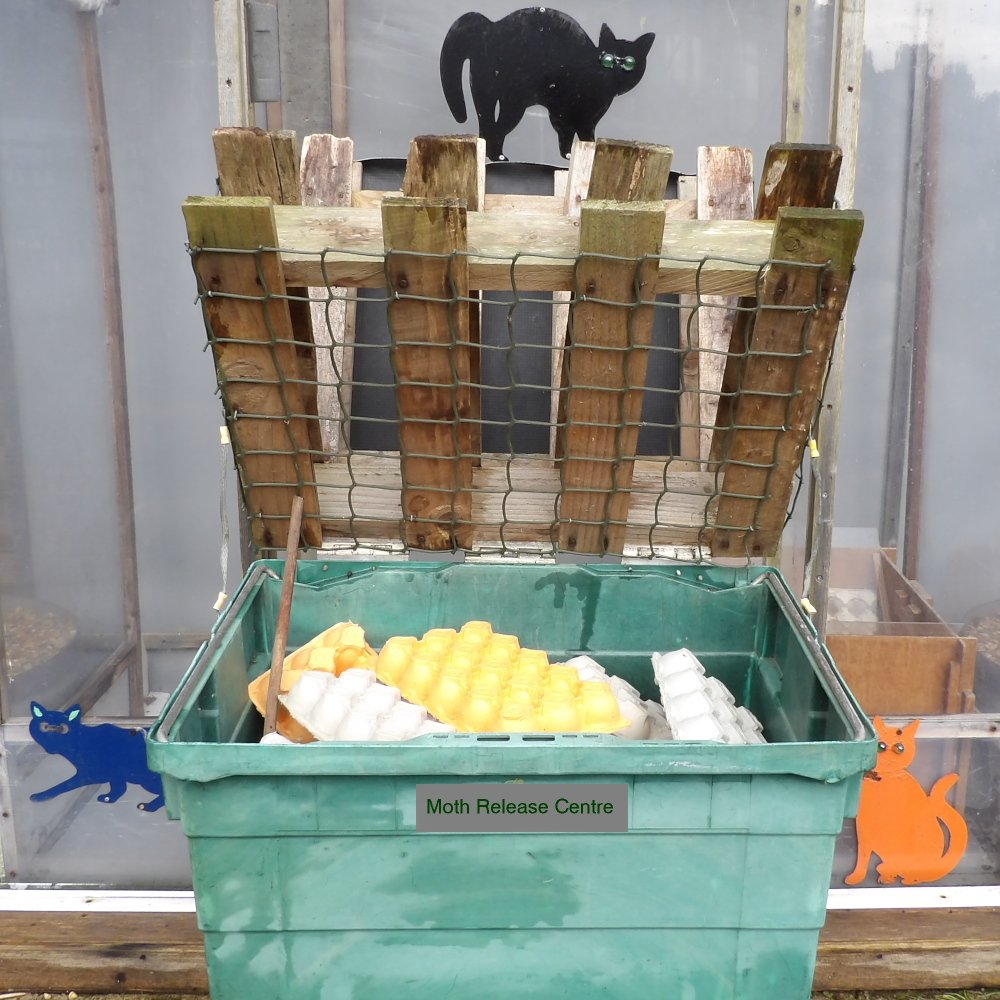 A crate with a meshed lid, filled with egg cartons