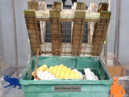 A crate with a meshed lid, filled with egg cartons