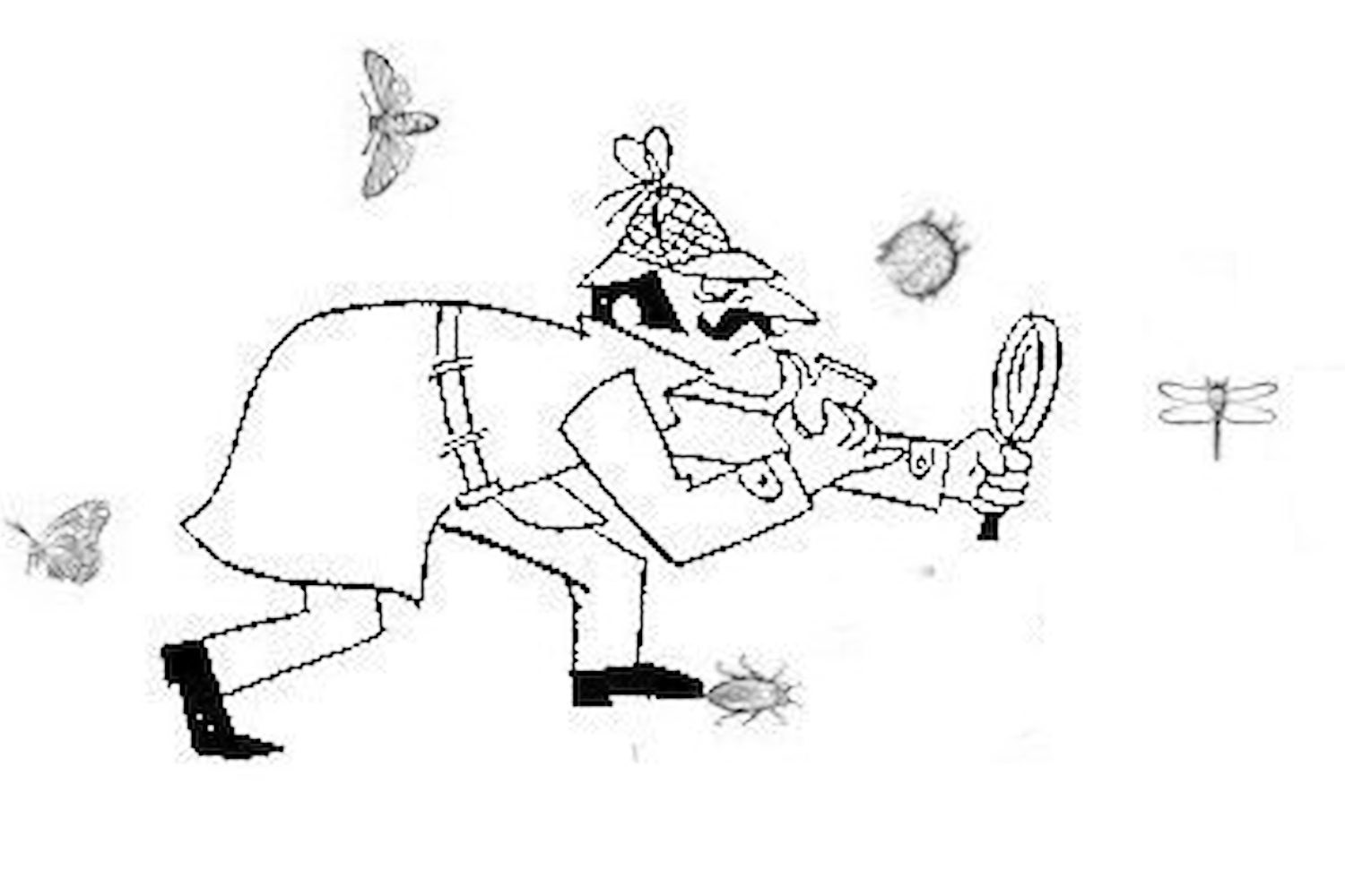 Cartoonish Sherlock Holmes-esque character holding a magnifying glass, with insects surrounding them