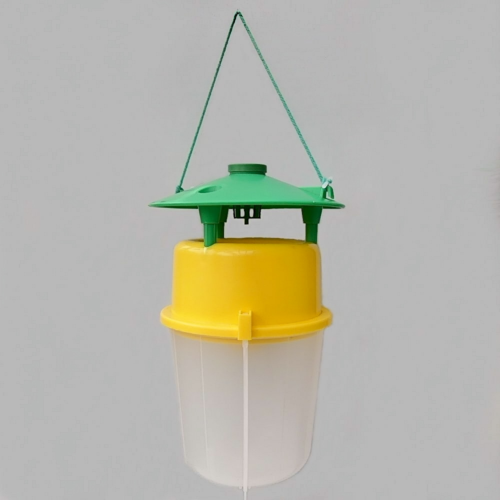 Photo of our trap - a plastic tub with an open lid, suspended by a thread