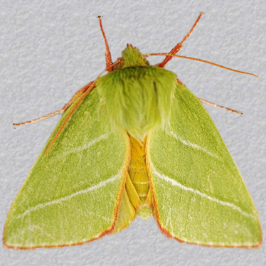 Top - 2