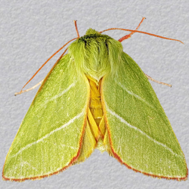 Top - 3
